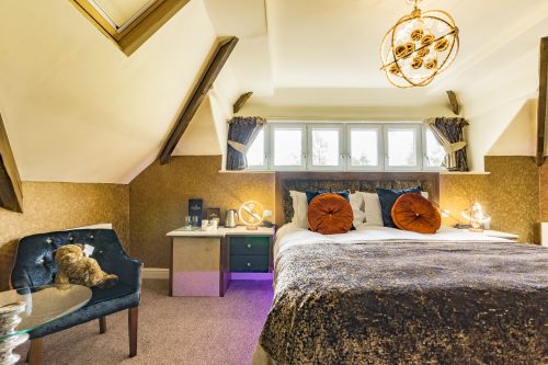 Cranleigh-Boutique-Luxury-Room 9 - web version - image-3