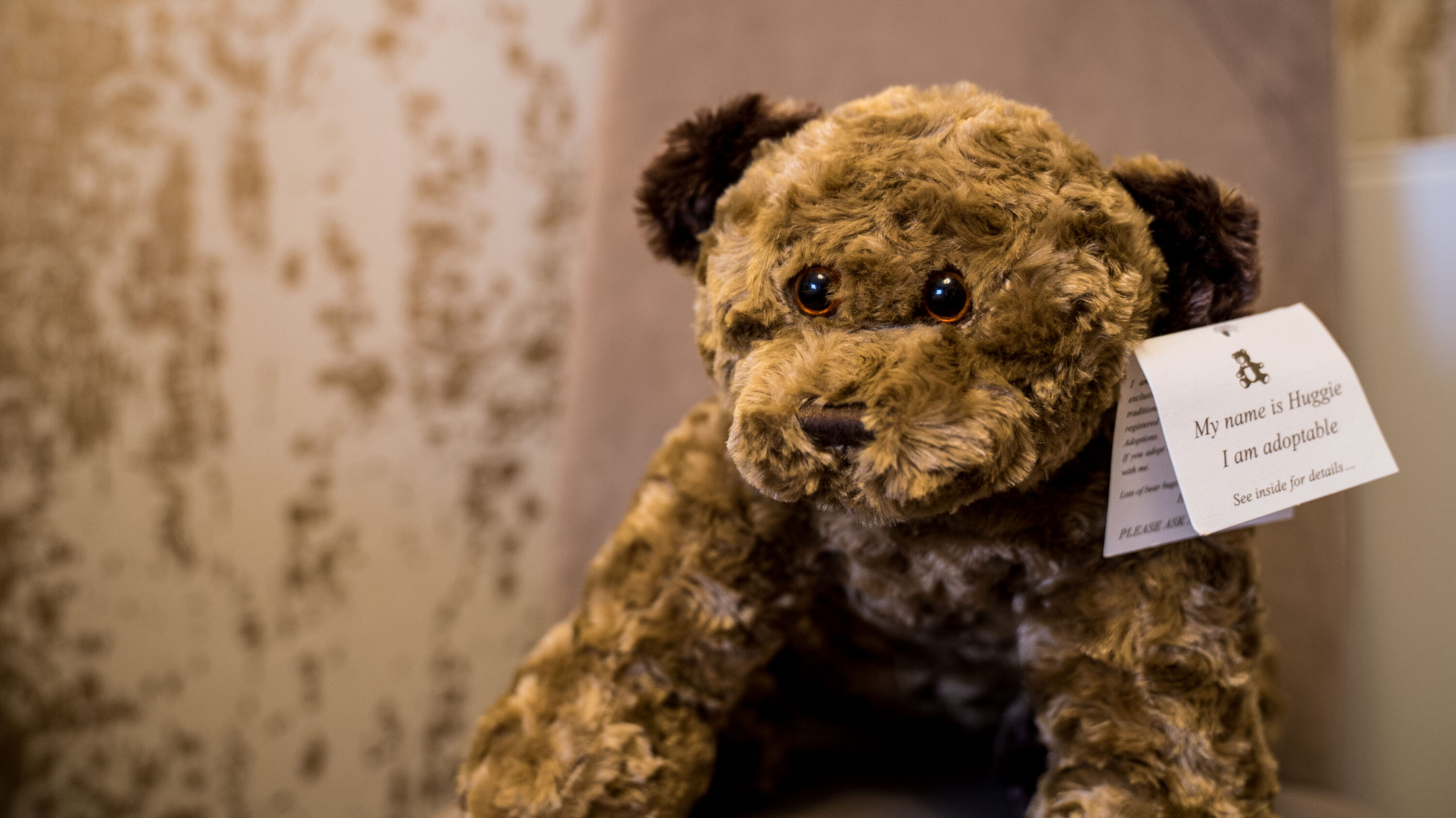 Huggie Bear - I'm a genius! - The Cranleigh Boutique Hotel