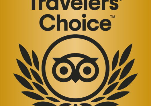 TripAdvisor 2021 Travellers’ Choice Award Winner