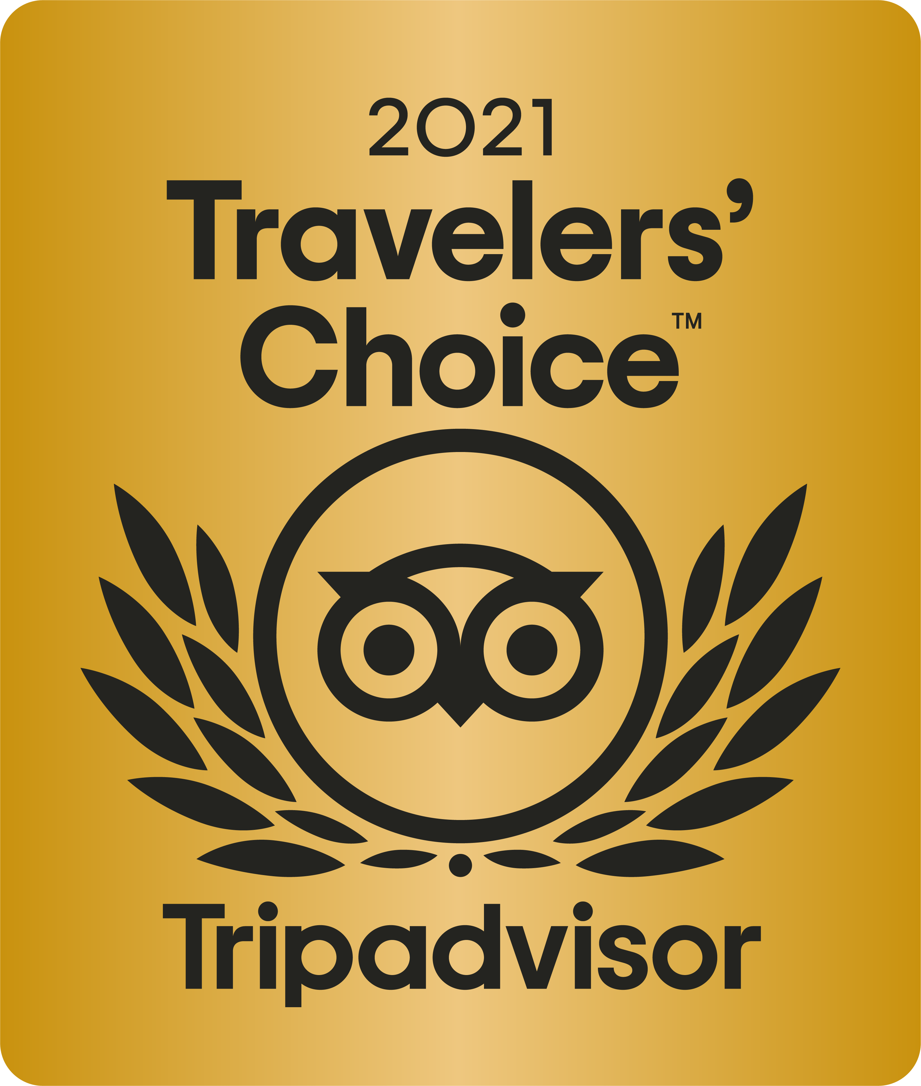 what is travellers choice awards